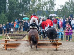 _DSC8146_web